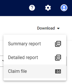 Download claim file summary.png
